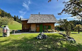 Chalet Hike&Bike Above Bohinj Valley
